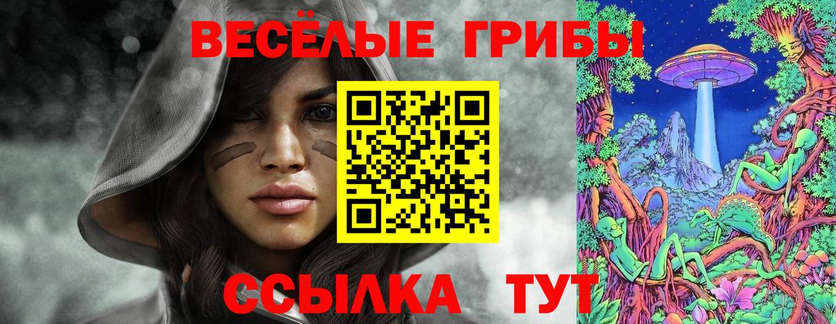 Псилоцибиновые грибы GOLDEN TEACHER Назрань