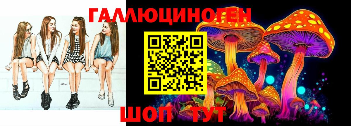 Псилоцибиновые грибы Psilocybine cubensis  Галлюциногенные грибы GOLDEN TEACHER  Вход с VPN  Назрань 